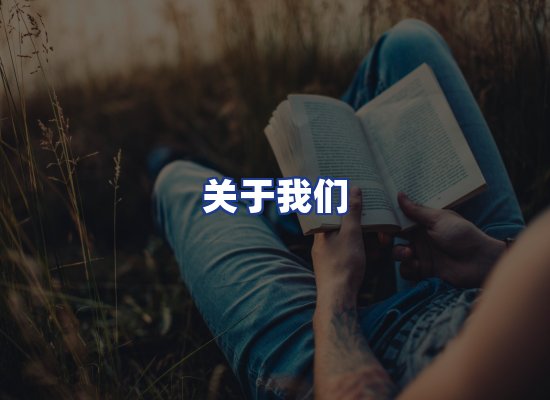 专业团队
